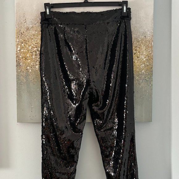 Frame Sequin Pants (NWT) - Picture 7 of 16